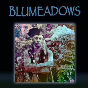 Blumeadows